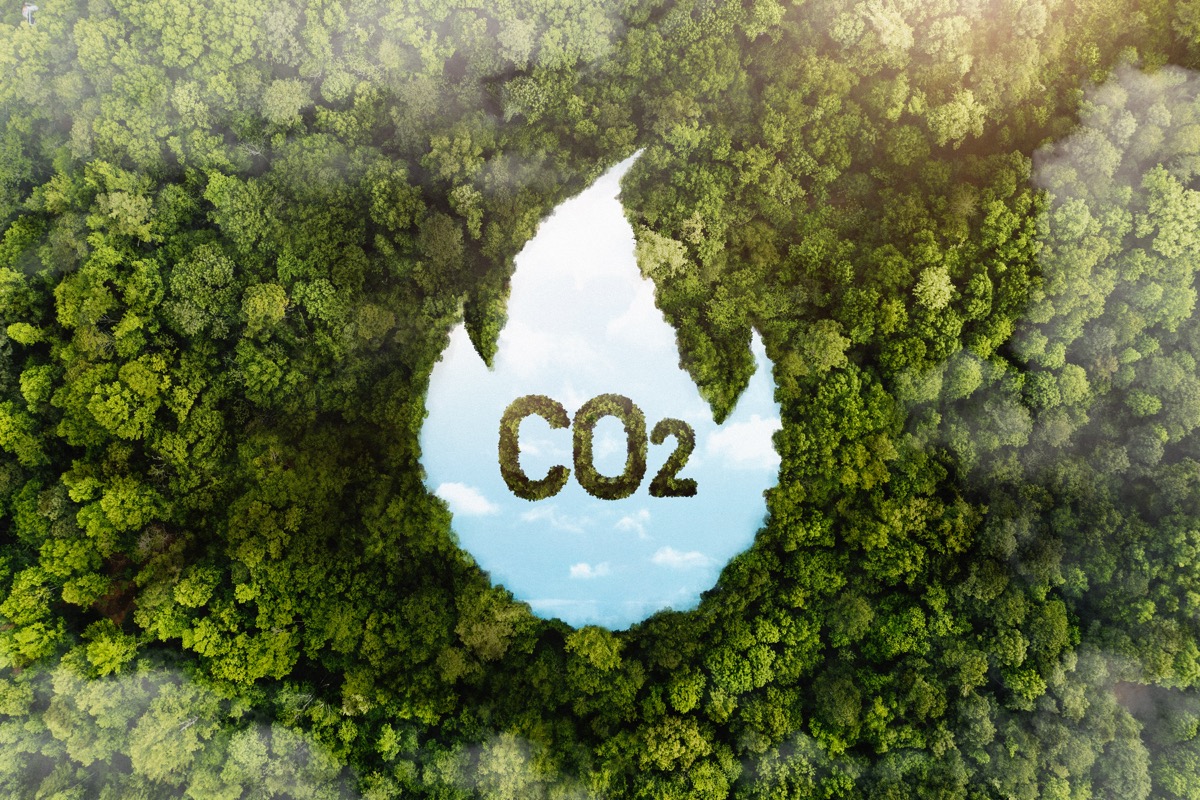 이산화탄소와 온실가스